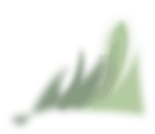 section image-2